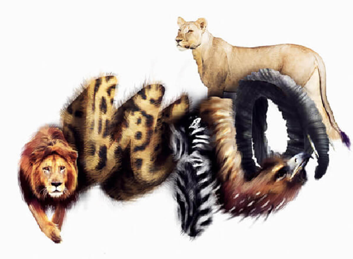 야생이라는 단어의 동물 그래픽